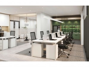 Dự án thiết kế nội thất văn phòng TNS Wisely 145m2 tại Hồ Tùng Mậu